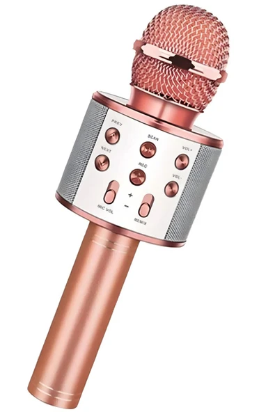 Subzero Rose Gold Karaoke Mikrofon,ses Değiştirme, Flash Bellek, Aux Ve Hafıza Kartı Ile Çalışma.