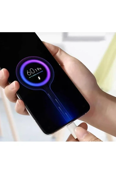 Subzero 67w 6a Type-c Kablolu Turbo Ev Tipi Şarj Aleti - Resim 3