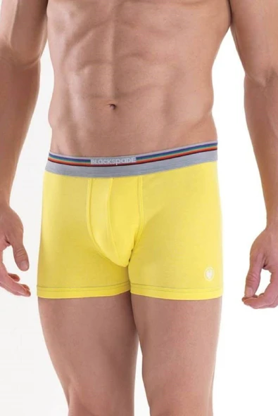 Blackspade 9550 Colours %95 Pamuklu Erkek Renkli Boxer - 11