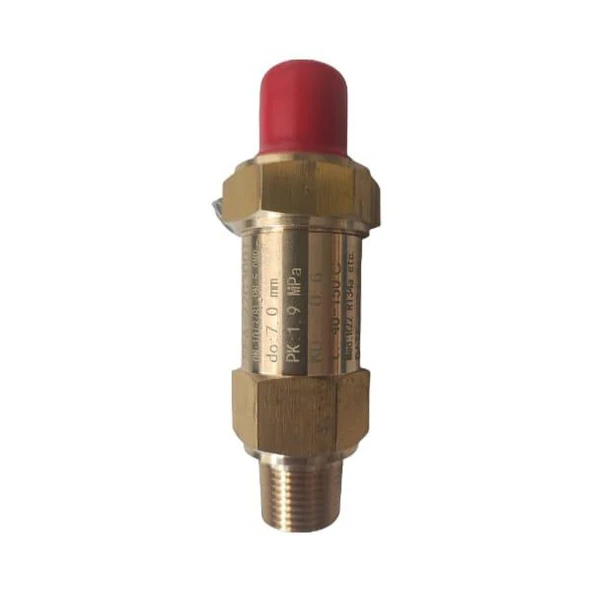 Blue BLR/SV-DN 1/2'' 19 Bar Likit Deposu Emniyet Valfi  ( 1,9 Mpa Relief Valf ) ürün görseli 1