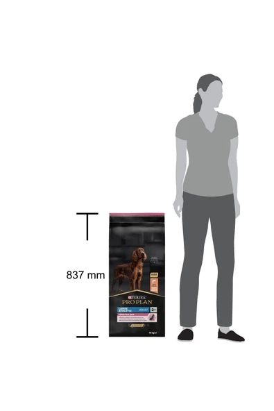 Proplan Büyük Irk Somonlu Yetişkin Köpek Maması 14 Kg - 2