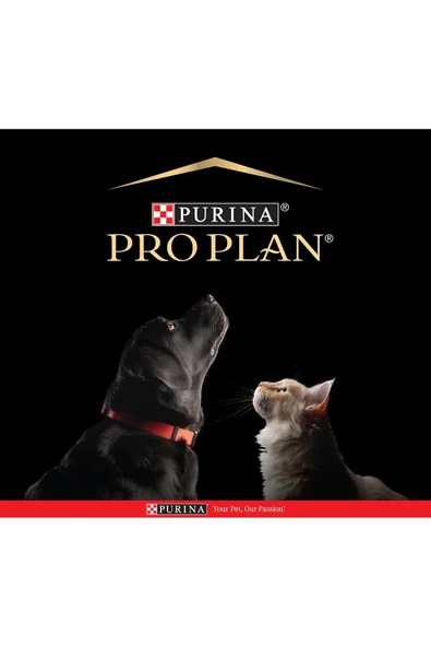 Pro Plan Medium Puppy Kuzu Etli Yavru Kuru Köpek Maması 12 Kg - 4