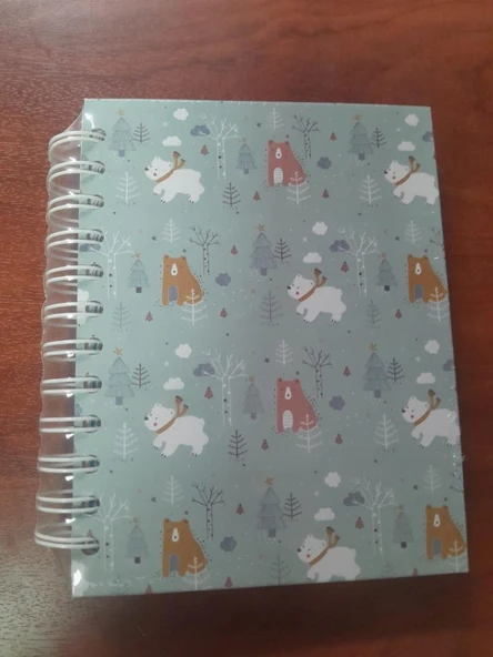 LIZ AYRACLI PLANNER 12x17 AJT02 - 2