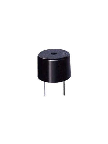 BUZZER 12 VOLT 23MM