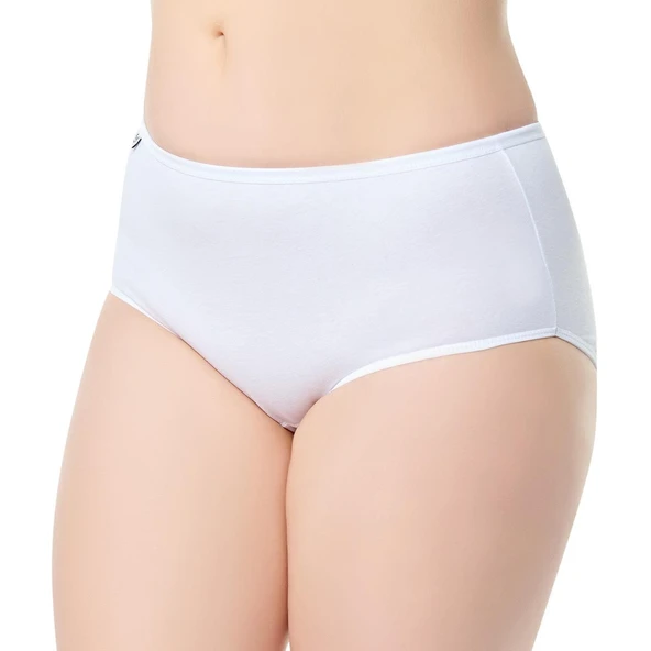 12 li Paket Tutku Bayan Likralı Külot İnce Lastik Külot 925 ürün görseli