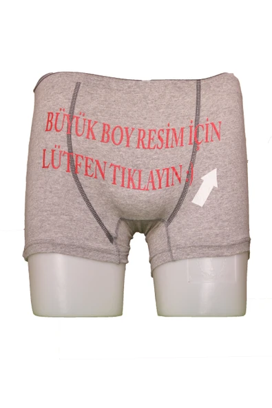 Büyük Resim Komik Baskılı Gri Boxer