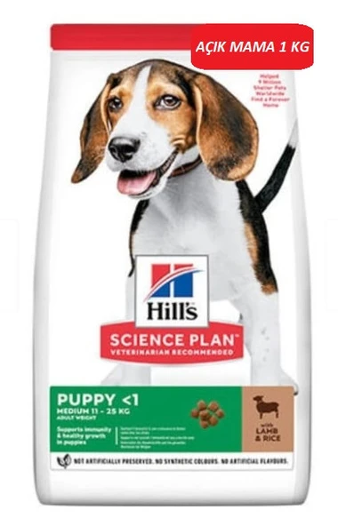 Hill's Medium Puppy Orta Irk Kuzu Etli Yavru Köpek Maması 1 KG