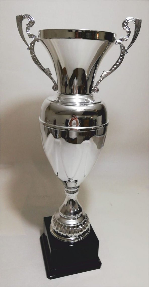 70CM EN BÜYÜK DEV EBAT KAİDELİ GÜMÜŞ NİKELAJ KAPLAMA KULPLU KUPA