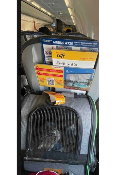 Brave Paws Piramit Model Yıkanabilir Kedi Ve Köpek Çantası Plastik Fileli Sırt Cantası (Mor) - 4