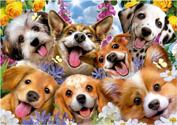 Educa 1000 Parça Yavru Köpek Selfiesi Puzzle - Puppies Selfie Howard Robinson - 19931 - 2