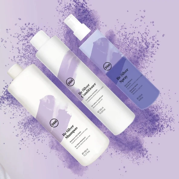 360 Hair Professional Silver Şhp 450ml-Cond 250ml-Silver Spray 250ml Set ürün görseli 1