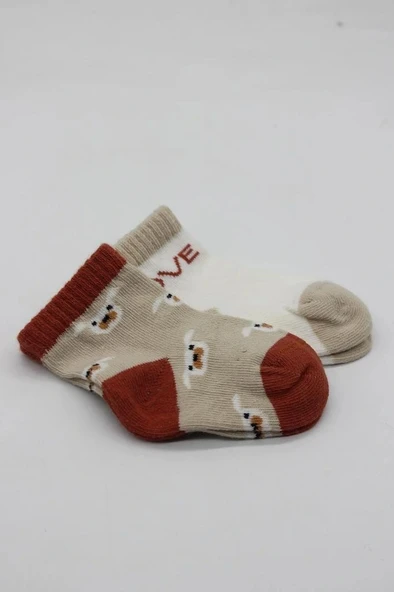 Nessiworld Bistyle Love Dog Penye Soket Çorap 2'Li BS10118 Bej - Resim 4