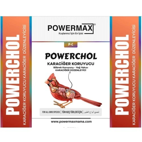 POWERCHOL 250 ML (Karaciğer düzenleyici,karaciğer koruyucu)