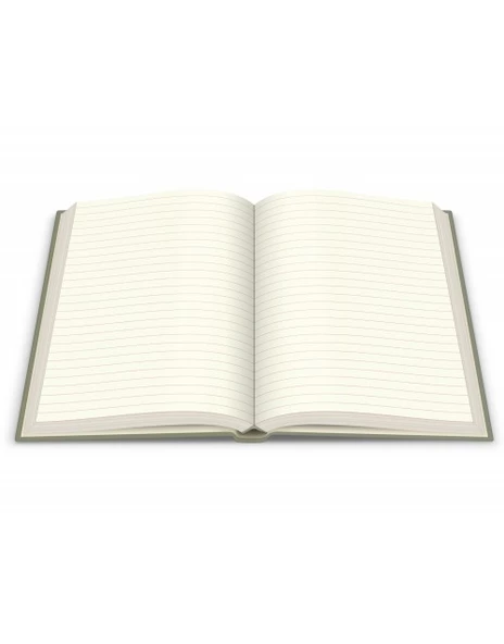 Deffter Flamingo Cactus 96 Yaprak Çizgili Sert Kapak Defter - 3