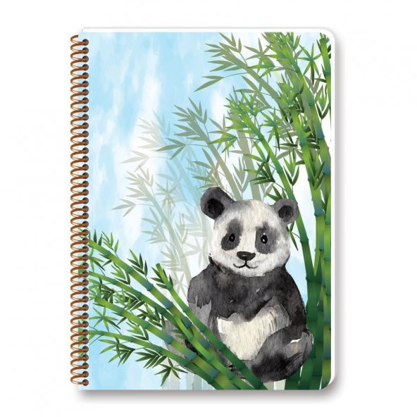 Keskin Color A4 Bambu Plastik Kapak 100 Yaprak Kareli Spiralli Defter - 2