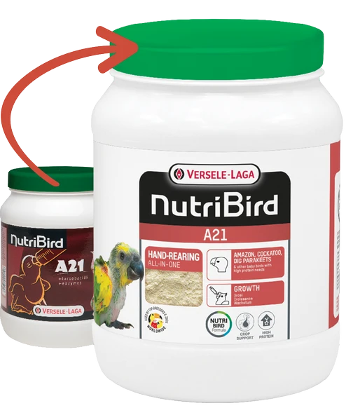 Versele Laga Nutrıbırd A21 Elle Yetiştirme Maması 800g ürün görseli 1