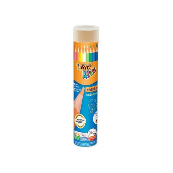 Bic Kuru Boya Kalemi 12'li Tüp