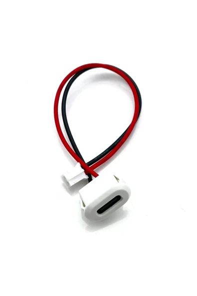 ROBİZ Type C Panel Montaj Dişi Soket 2 Pin 10cm Kablolu Beyaz Uzatma Konnektör Araba Kamera Oyuncak
