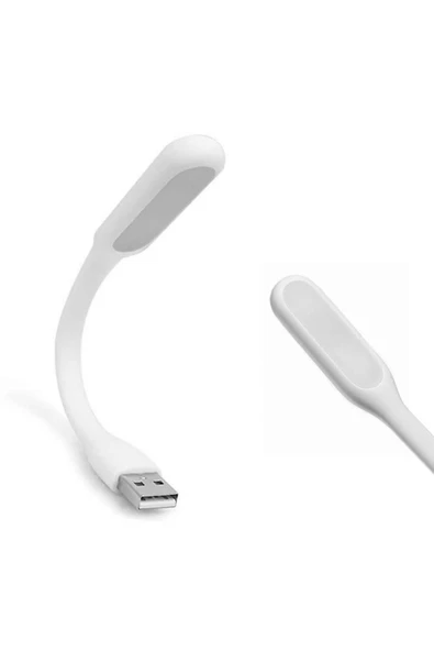 ROBİZ Usb Led Lamba 15cm Beyaz Renk Işık Portatif Taşınabilir Gece Lambası Masa Aydınlatma - Resim 3