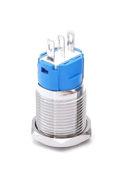 ROBİZ 16mm Metal Panel Montaj Düz Kafa Latch Buton NO NC  DC 6A 12V AC 3A 250V IP67 Su Geçirmez Düğme - Resim 3