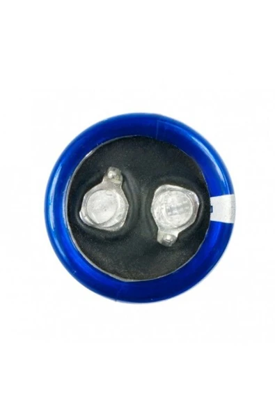 ROBİZ 100F 2.7V Süpercap 22x45mm DIP Süper Kapasitör Enerji Depolama Güneş Rüzgar Akü Batarya Güç - Resim 4