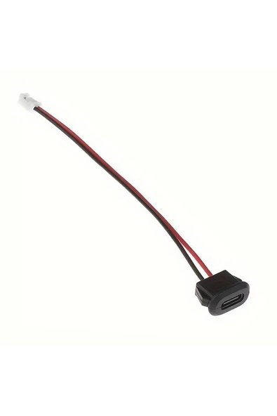 ROBİZ Type C Panel Montaj Dişi Soket 2 Pin 10cm Kablolu Uzatma Konnektör Araba Kamera Oyuncak Telefon Şarj - 6
