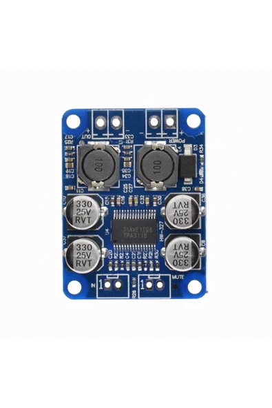 ROBİZ Tpa3118 60w Mono Digital Ses Amfi Modül Dc 12v-24v Tek Kanal Class D Amplifikatör Amfi Amplifier