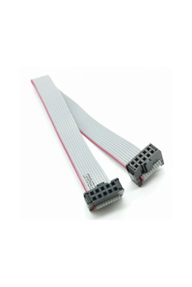 ROBİZ 20cm 10 Pin Idc Flat Ribbon Kablo 2.54mm Pitch - Resim 2