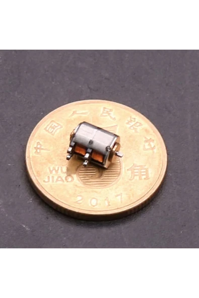 ROBİZ Micro Step Motor 6.5x4.7mm 2 Faz 4 Telli (dikkat Çok Küçüktür !!) - 5