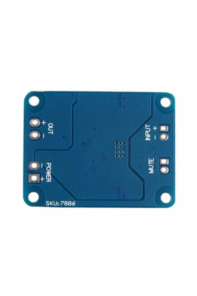 ROBİZ Tpa3118 60w Mono Digital Ses Amfi Modül Dc 12v-24v Tek Kanal Class D Amplifikatör Amfi Amplifier - 8
