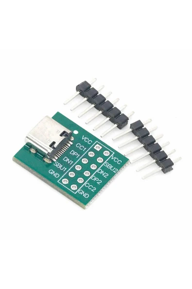 ROBİZ Usb Type C To Dip Pcb 12 Pin Adaptör Kart - Resim 2