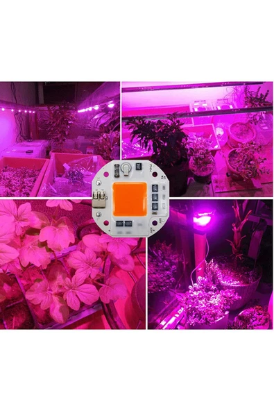 ROBİZ 220V 50W Bitki Büyütme Ledi Klemensli Tüm Işık Spektrumlu Fide - 7