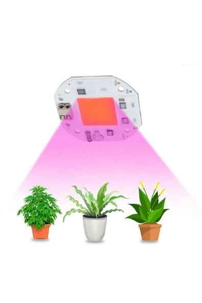ROBİZ 220V 50W Bitki Büyütme Ledi Klemensli Tüm Işık Spektrumlu Fide - 4