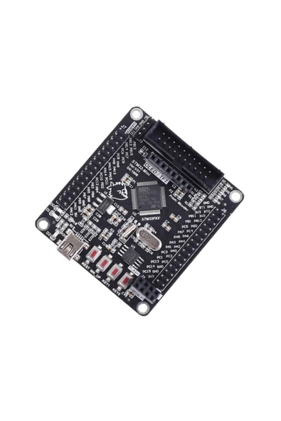 ROBİZ Stm32f103rct6 Gelistirme Kartı Arm Stm32 32 Bit Arm Cortex M3 - Resim 3