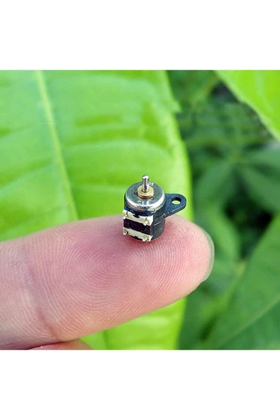 ROBİZ Micro Step Motor 6x7.5mm 2 Faz 4 Telli ( Dikkat Çok Küçüktür !! ) - Resim 3