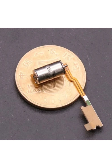 ROBİZ Micro Step Motor 4.4x8.7mm 2 Faz 4 Telli (dikkat Çok Küçüktür !!) - Resim 3