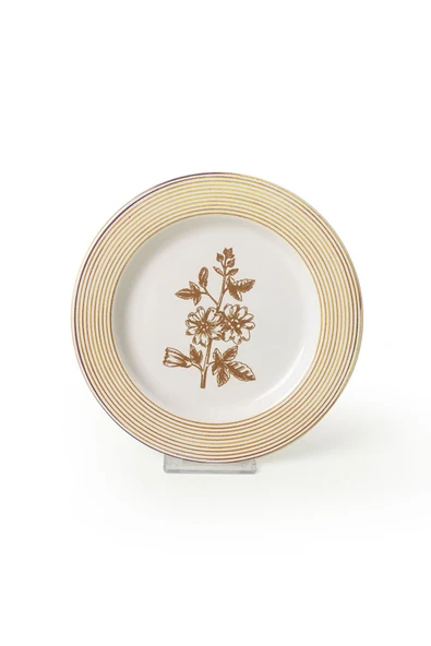 Keramika Floral Essence Assos Pasta Tabağı 22 Cm 4 Adet / 22890-93-94-22949 - Resim 7