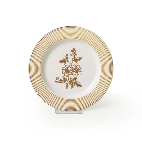 Keramika Floral Essence Assos Pasta Tabağı 22 Cm 4 Adet / 22890-93-94-22949 - 5