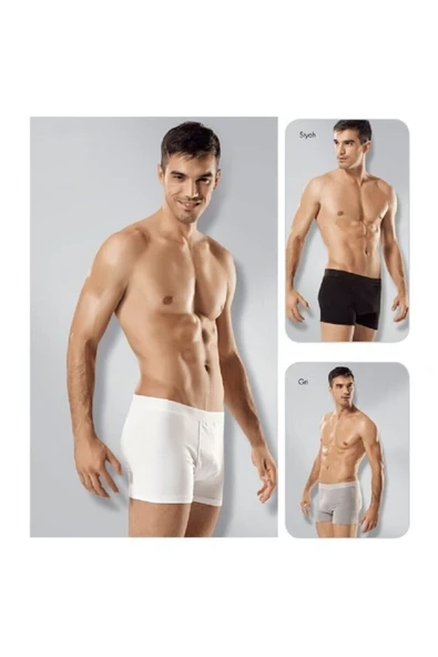 Seher Yıldız  3 ' Lü 3 Renkli 3 Adet Likralı Erkek Boxer