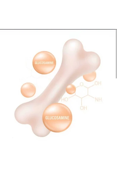 Condurax Tip 2/5 Ve 10 Kolajen Içeren Glukozamin Shark Cartilage Msm 200 Tablet D3 Vitamin - 5