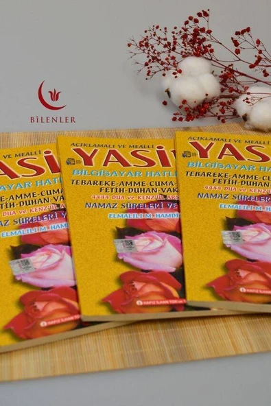 Açıklamalı ve Mealli Bilgisayar Hatlı Renkli Yasin Orta Boy - Resim 5