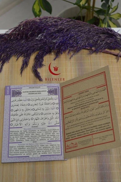 Mevlit Hediyeliği 41 Yasin Bilgisayar Hatlı Türkçe Okunuş Mealli ve Sesli 5 Adet Mor - Resim 3