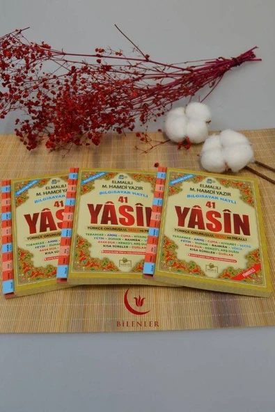 Bilgisayar Hatlı Türkçe Okunuşlu Sesli ve Mealli 41 Yasin Dua Kitabı Çanta Boy - Resim 2