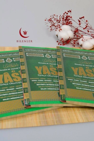 Türkçe Okunuşlu ve Mealli Fihristli 41 Yasin Dua Kitabı Orta Boy Yeşil - Resim 5