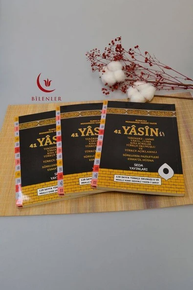 Türkçe Okunuşlu ve Mealli Kabe Desenli Yasin-i Şerif Orta Boy - Resim 5