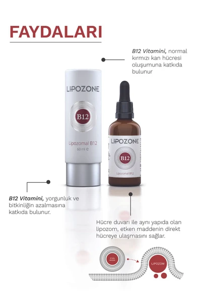 Lipozone Vitamin B12 60 ml Damla - 2