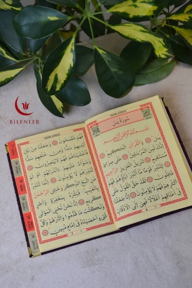 Kutulu Kadife Yasin ve İnci Tesbih Seti Mor 10 Adet - Resim 2