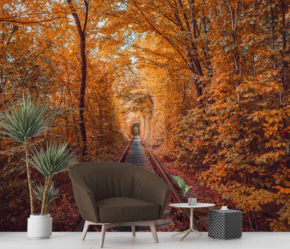 Sonbahar Demir yolu Tren Manzara Duvar Kağıdı Baskı - Resim 6