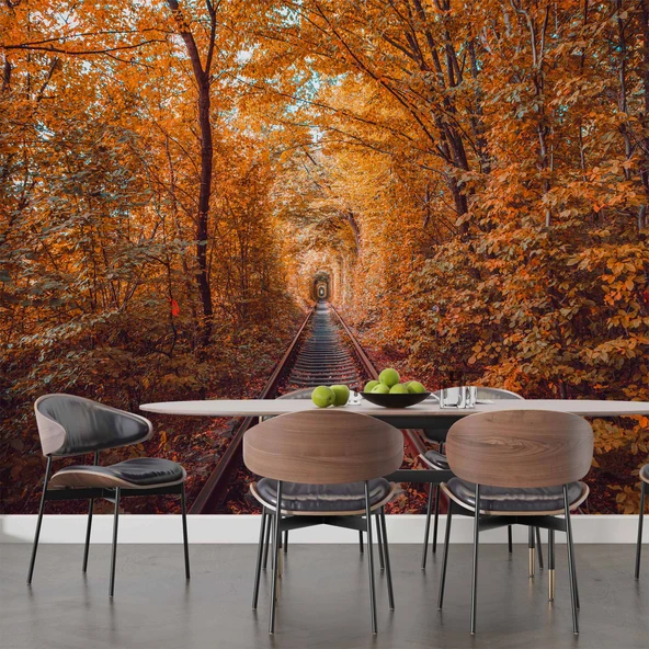 Sonbahar Demir yolu Tren Manzara Duvar Kağıdı Baskı - Resim 5