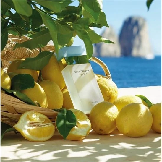 Dolce & Gabbana Light Blue EDT Bayan Parfüm 100ml - 2